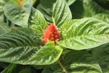 心累伤感个性签名 爱我少一点但爱我久一点