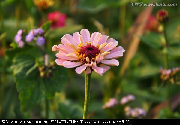 怙终不悔