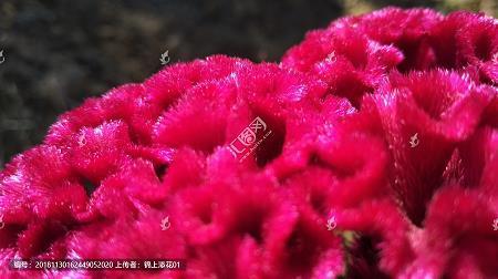 深奥难懂的句子简短 有深度有品味的句子