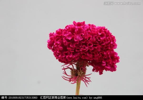 描写老人外貌的句子44句