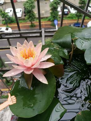 有付出才有收获的谚语(精选25条)