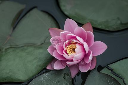 掏心掏肺后伤心欲绝的个性签名
