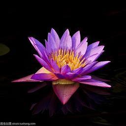 诗意满满的个性签名 富有诗意签名大全
