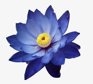 关于圣诞节的伤感说说大全 圣诞节自己一个人过的说说27句