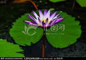 疲惫和累的短句