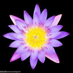微信签名一句话至自己男内涵 一个人的修养看失意时的善良