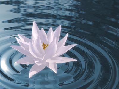春节过年对联带横批100副(精选38句)