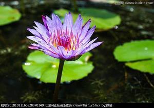 能激励自己的个性签名49句