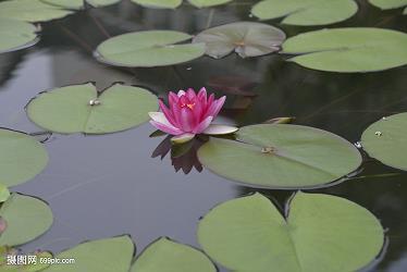 没钱真难过个性签名