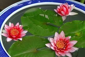 个性高冷的短句子 朋友圈高冷文案简约