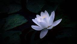 年3月14甜蜜的告白文案 314朋友圈发什么好
