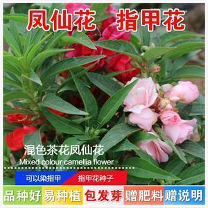 对一段感情失望透顶的句子