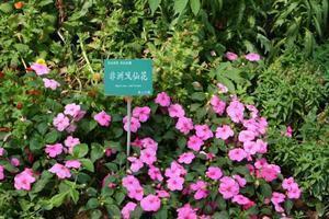 伤感的句子说说心情 关于想父母的伤感句子说说(精选78句)