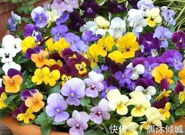 游丝飞絮