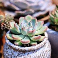 恋爱签名唯美句子 个性签名唯美爱情句子