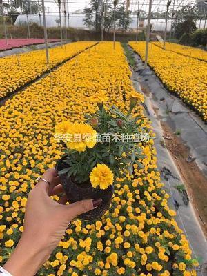 滥情和博爱的个性签名49句