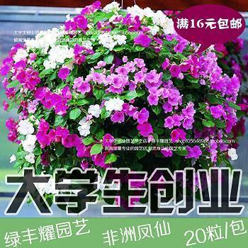 唯美的青春语录短句