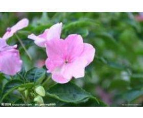 微信经典伤感个性签名