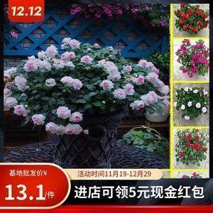 搞笑女生版个性签名49句