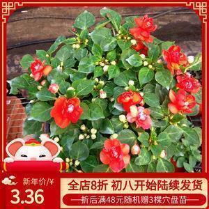 夏到秋的唯美句子 一叶知秋，还是比较喜欢秋天的景色(精选31句)