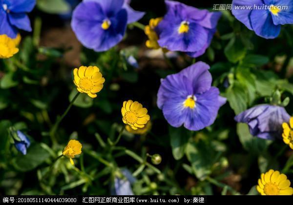 倨傲无礼