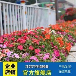 女生心累悲伤的说说心情短语