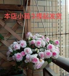 关于美好回忆的语录 关于美好回忆的经典句子(精选44句)