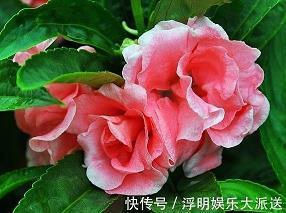 父亲节简短祝福语实用文案语录合集93句