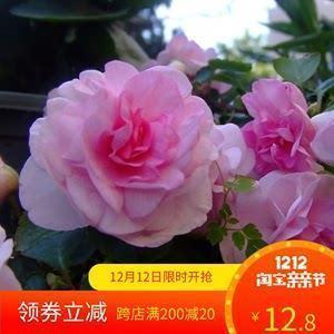 毕业季的个性签名