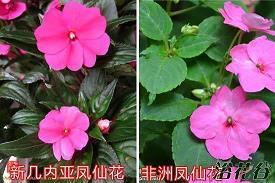 春节朋友圈拜年2021祝福文案