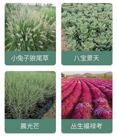 最经典的句子伤感