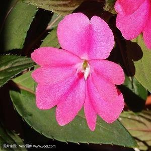【精品】七夕节走心祝福文案简短推荐96句