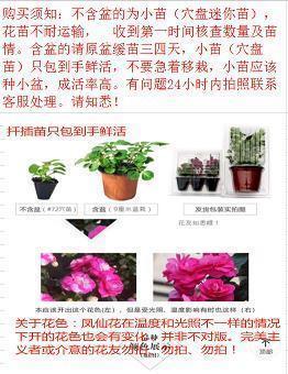 伤感说说：是我亲手推开你，我没资格说后悔