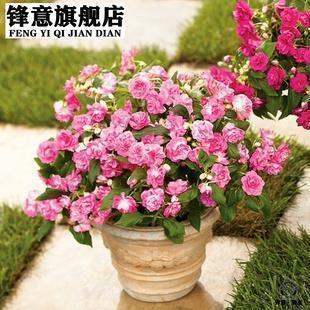 星辰的句子