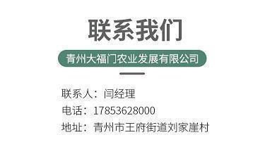 后悔句子的说说心情 发朋友圈后悔句子推荐66句