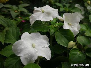 清明节祭英烈寄语简短汇编38句