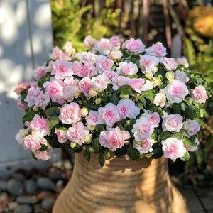 春节除夕夜2021最火祝福语