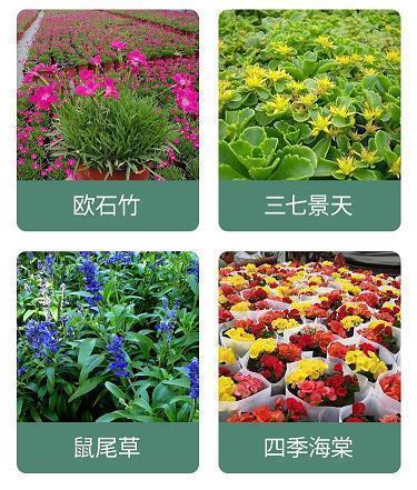 字字诛心的经典语录 人生感悟的句子集锦11句