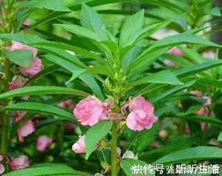 卑微爱情的说说句子 卑微爱情的伤感句子23句