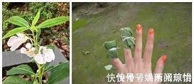 【精华】致自己一段话霸气高冷的话 霸气高冷到爆的句子推荐83句