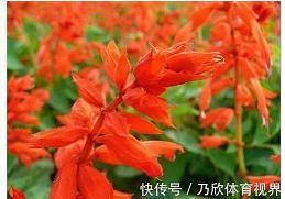 正能量格言(精选105句)