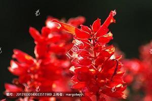 深奥的人生个性签名44句