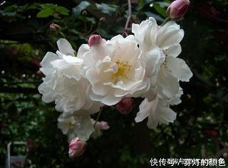 最新无所谓的唯美情感签名大全 我不要的东西你才刚刚着迷