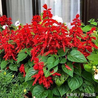 有涵养的简短个性签名