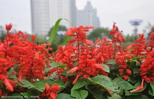 心情不好心里堵得慌的说说37句