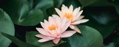 先意希旨