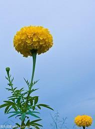 分手句子，句句戳心