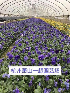 赔身下气