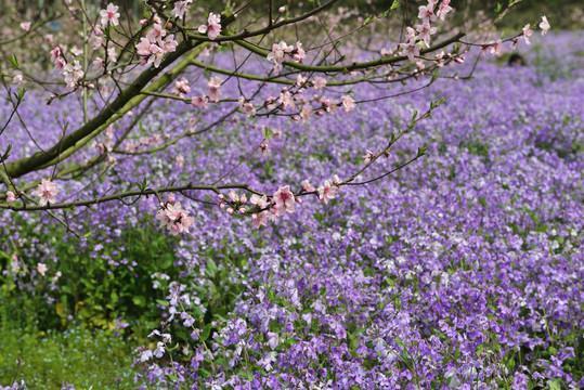 厉行节约