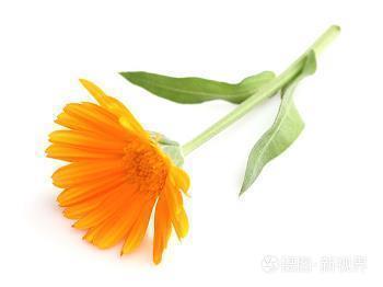 母亲鼓励孩子简短句子 鼓励孩子们努力上进的句子精选62句